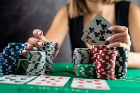 prime95 Cricket Wagering Hub